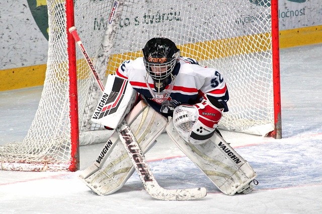 张本智和作 张本智和作