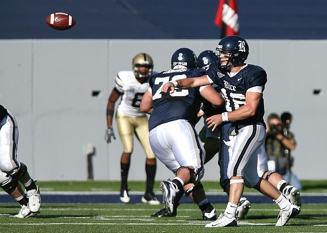 的拉球来牵 的拉球来牵