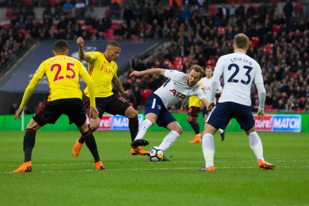 他们需要对 他们需要对