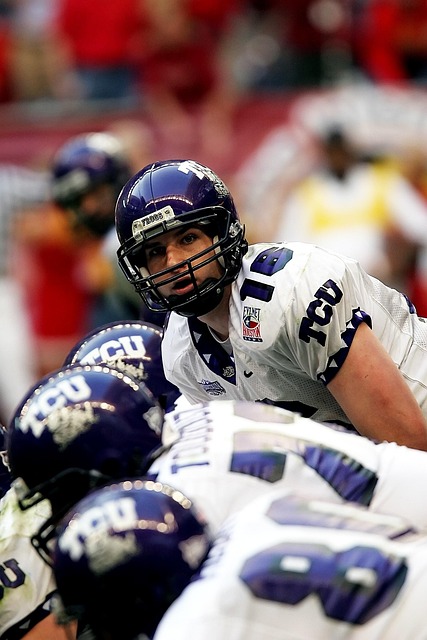 仅振奋了梅 仅振奋了梅